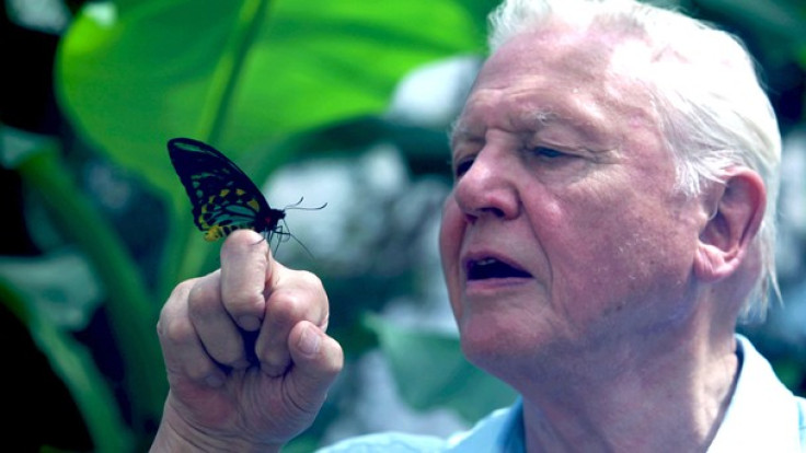 Attenborough’s Ark: Natural World Special