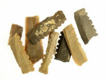 The flint implements that were exposed during the excavation, which suggest the well belonged to a farming settlement. (Photo: Clara Amit/IAA)