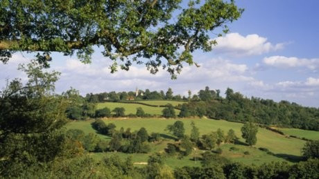 Scenic: Ide Hill