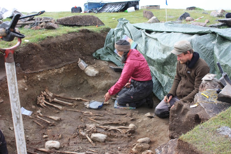 Viking Settlers Left Greenland Out Of Boredom With Seal Diet Ibtimes Uk