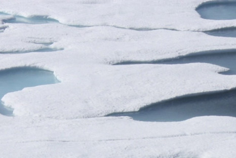 Arctic Ice