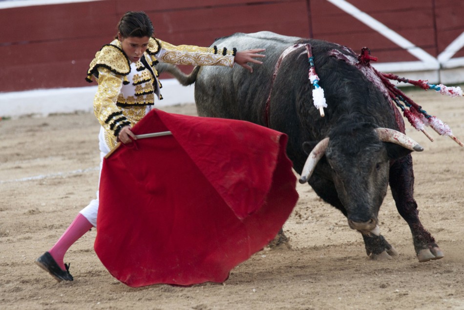 Mexican matador Michelito Lagravere performs a pass to a bull during a bullfight at the Plaza Monumental bullring in Merida