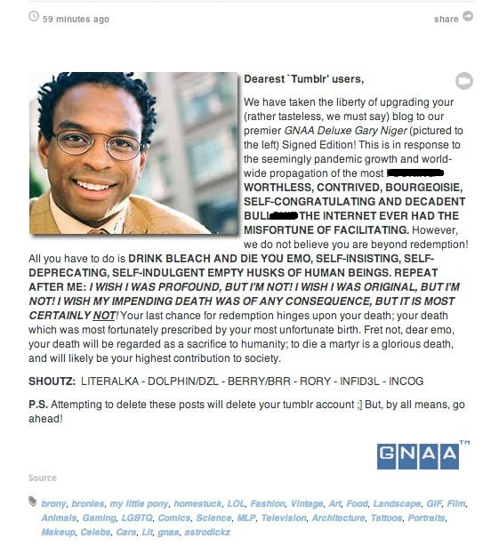 A screengrab of what thousands of Tumblr users saw today