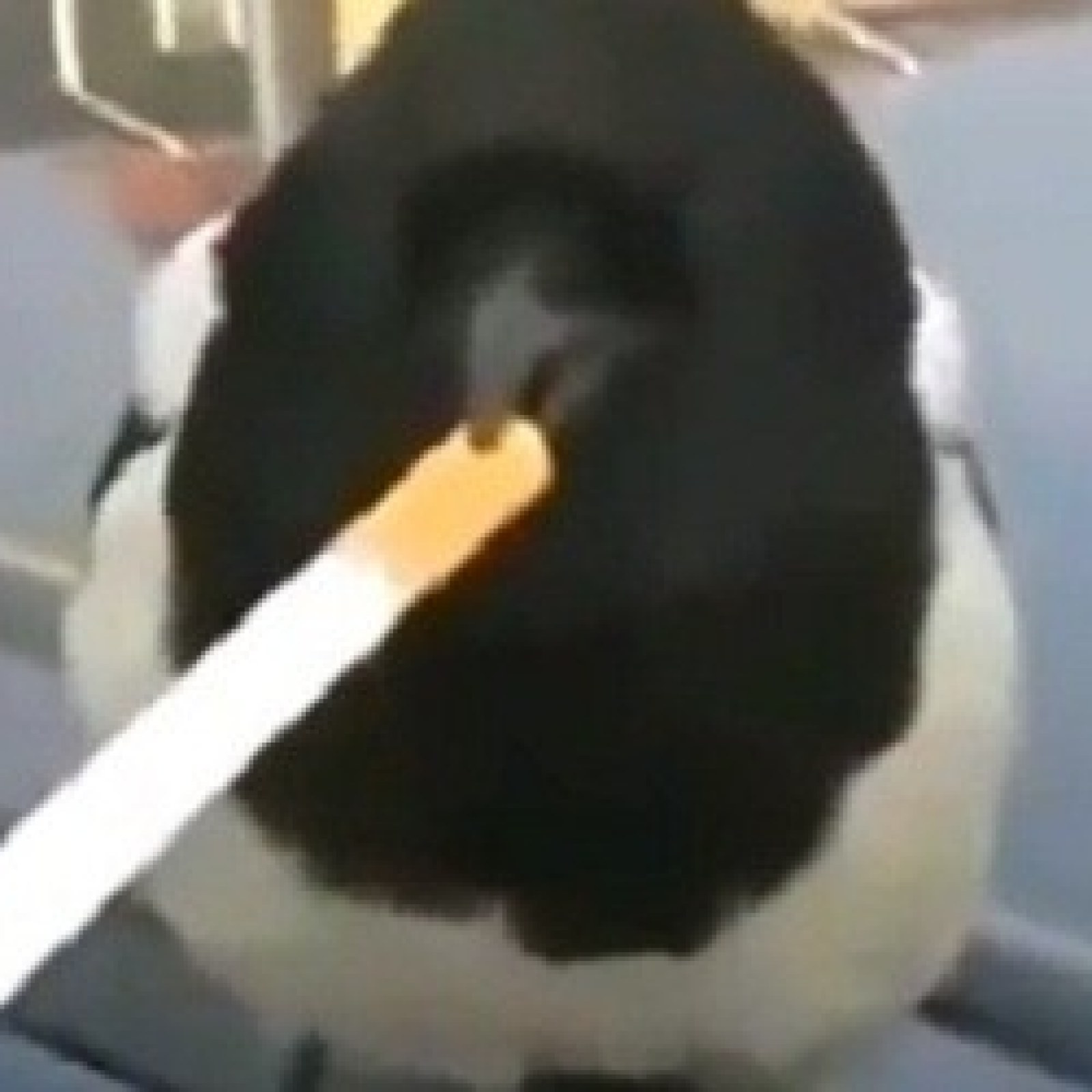 40 cigarettes pack How Many Cigarettes Are in a Pack 40 cigarettes pack How Many Cigarettes Are in a Pack