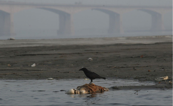 Ganges River