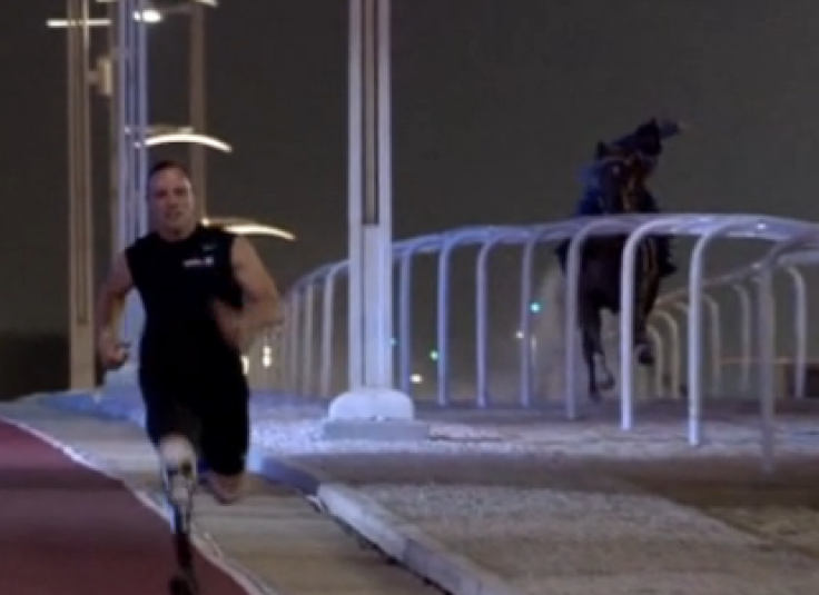 Strength and Power: Oscar takes on Arab horse