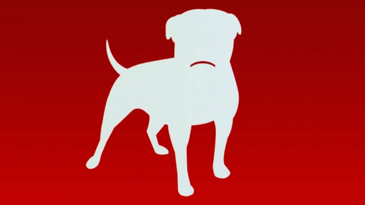 Zynga Zynga
