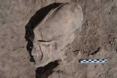 Alien-Like Skulls Excavated in Mexico