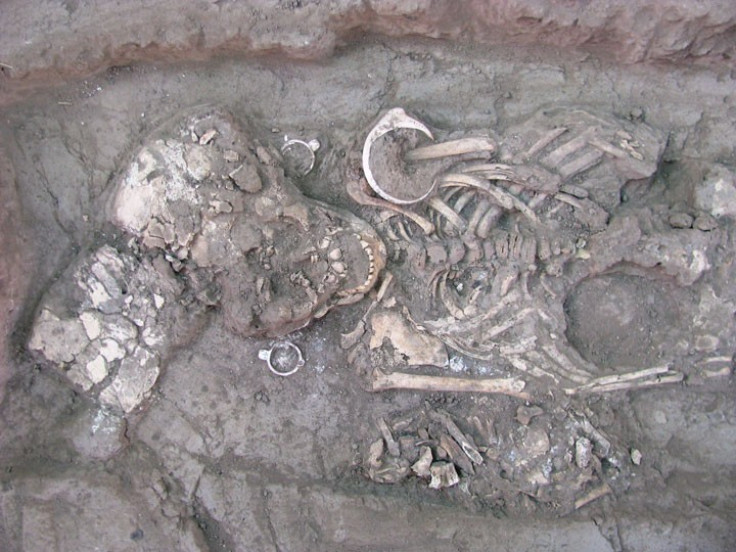 Alien-Like Skulls Excavated in Mexico