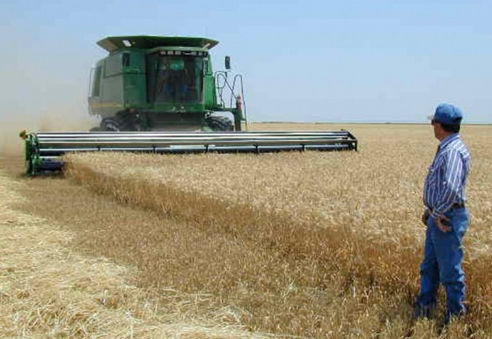 U.S. wheat farm U.S. wheat farm