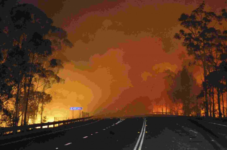 The Country Fire Service as well as other emergency services have warned residents in South Australia to prepare for what could be a fire disaster on Thursday, after authorities said extreme and severe fire dangers loom across the state.