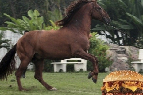 horse meat