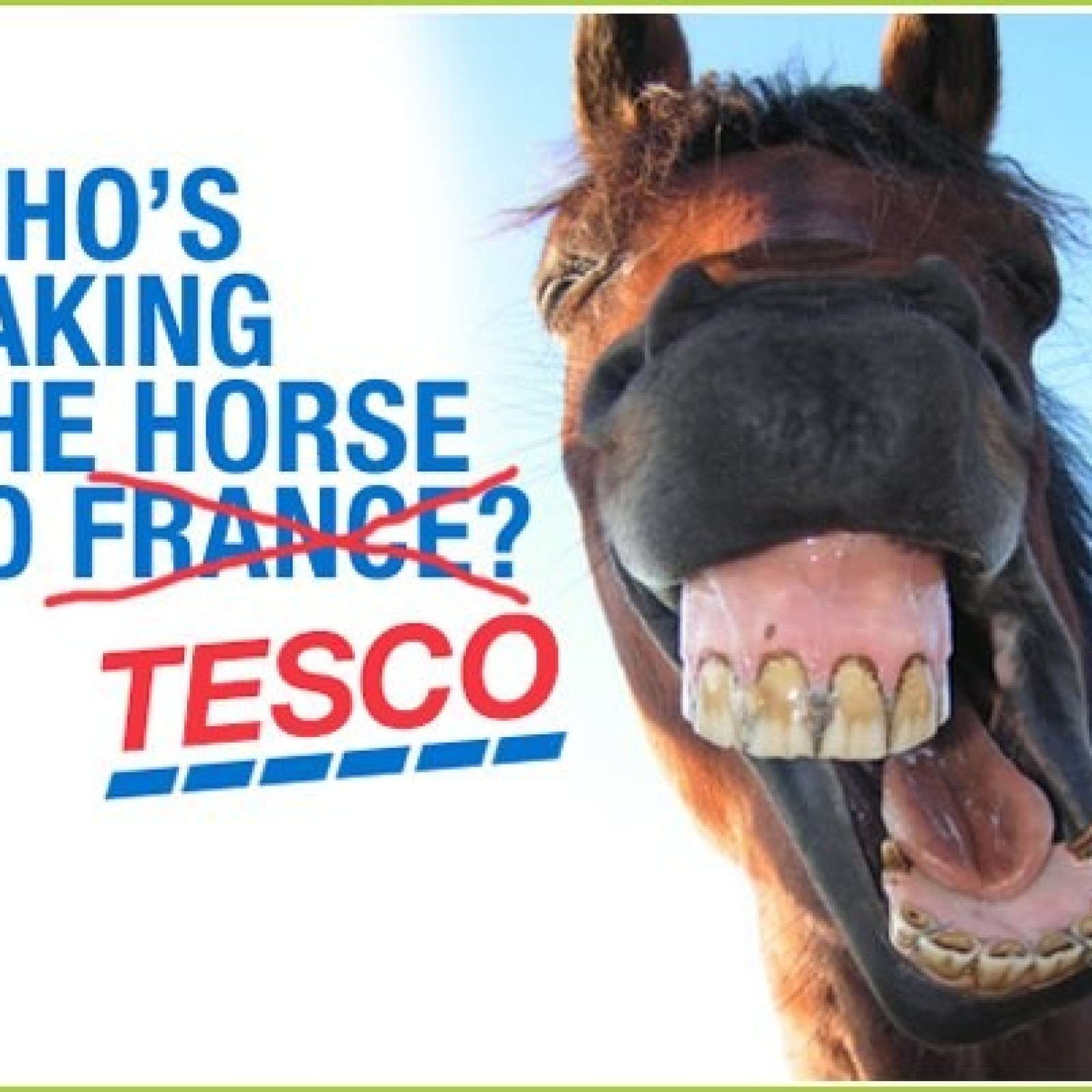 Tesco to Use DNA Tests in Bid to Catch Rogue Horsemeat | IBTimes UK
