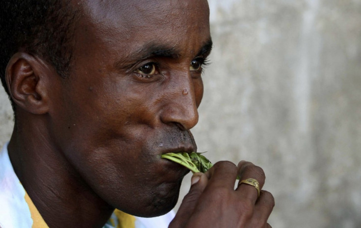 Man munches Khat