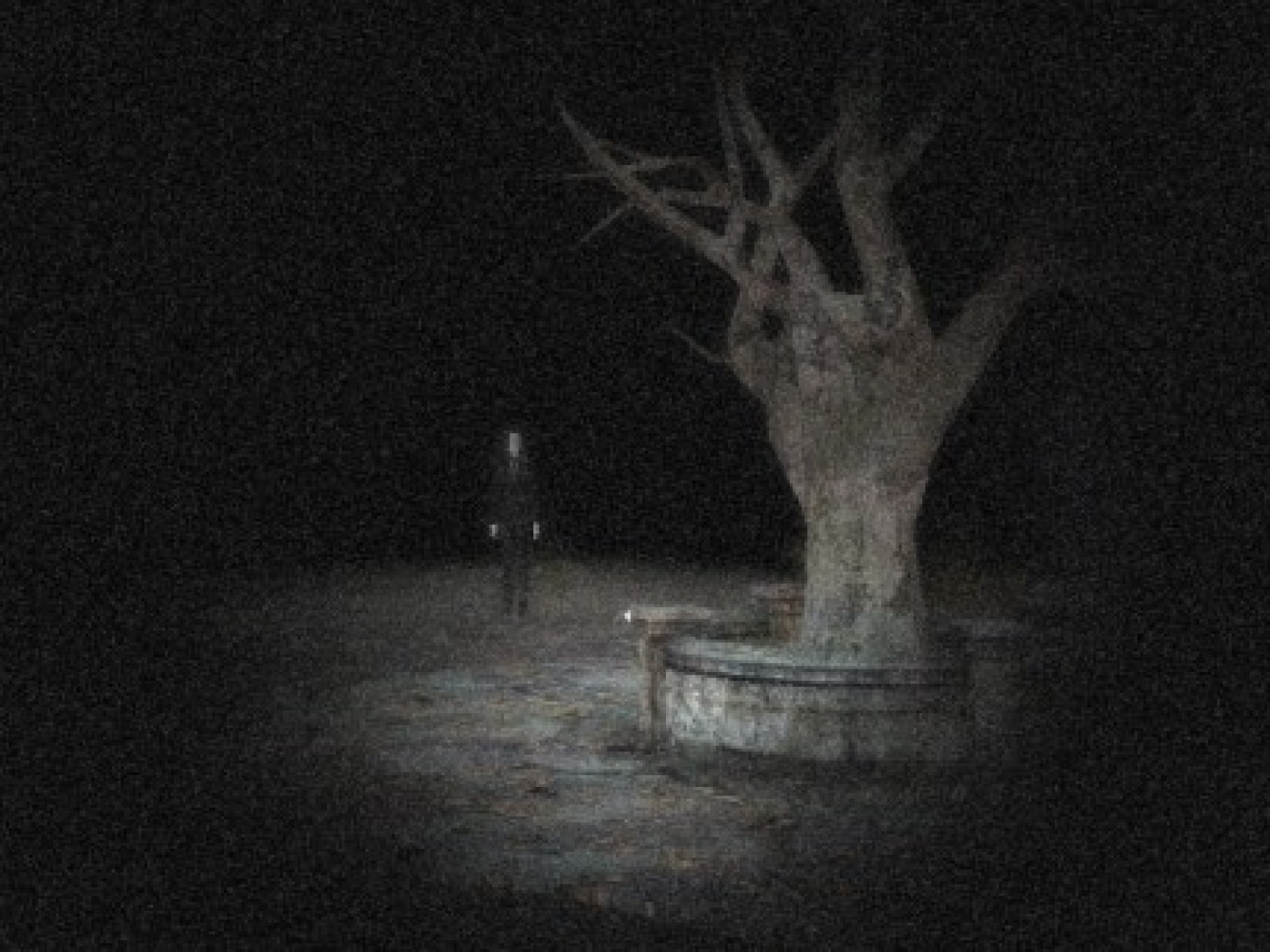 Slender The Rising Slender Rising Signs