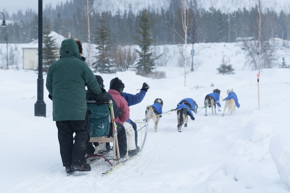30th Yukon International Dog Sled Race