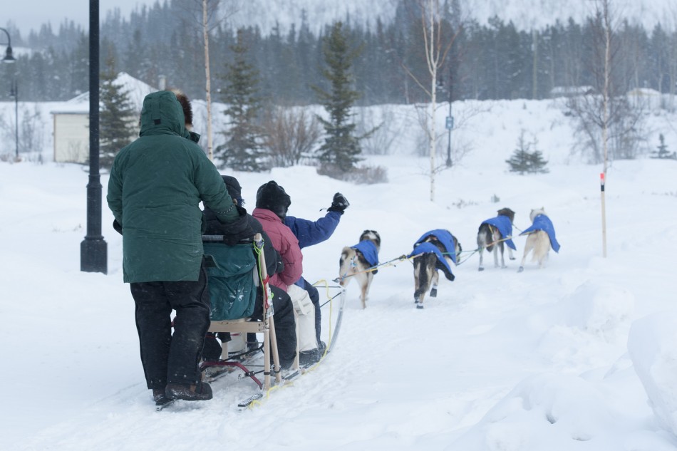 30th Yukon Quest Sled Dog Race Spirit of Klondike Gold Rush Reborn