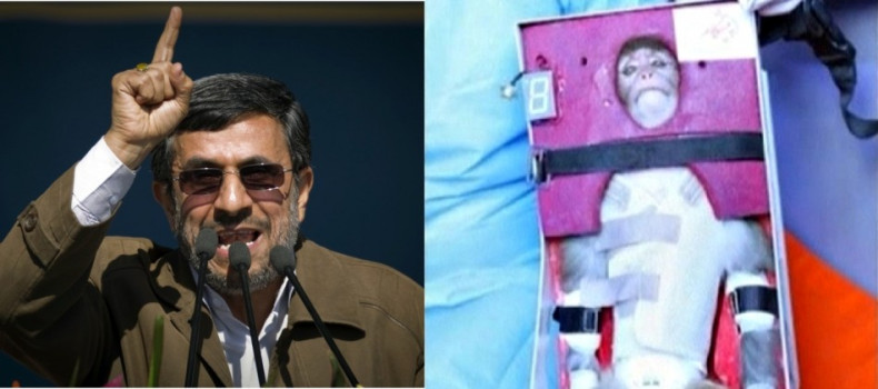 Iran space monkey