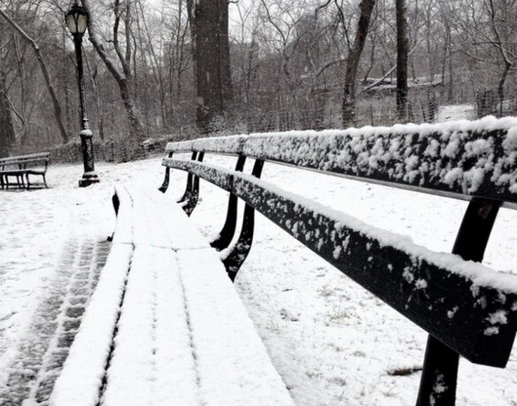 Central Park NYC under snow PIC: @thomasdenman