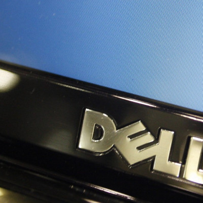Dell bid opposed by investor