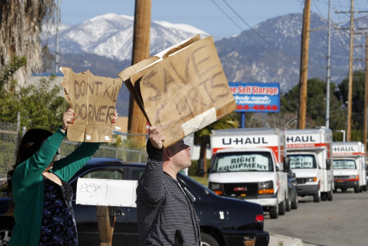 Dorner supporters