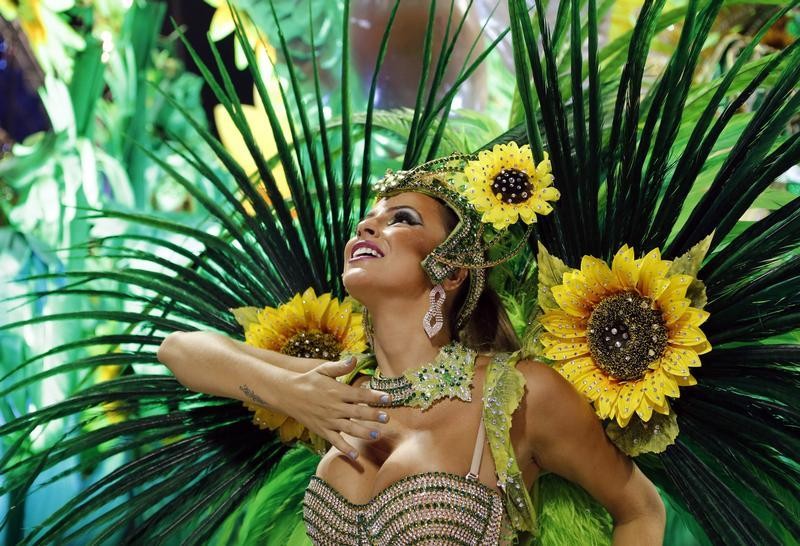 Rio Carnival 2013 Last Day Celebration Pictures