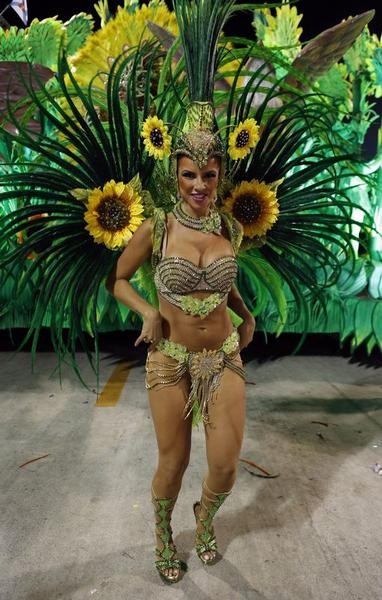 Rio Carnival 2013 Last Day Celebration Pictures