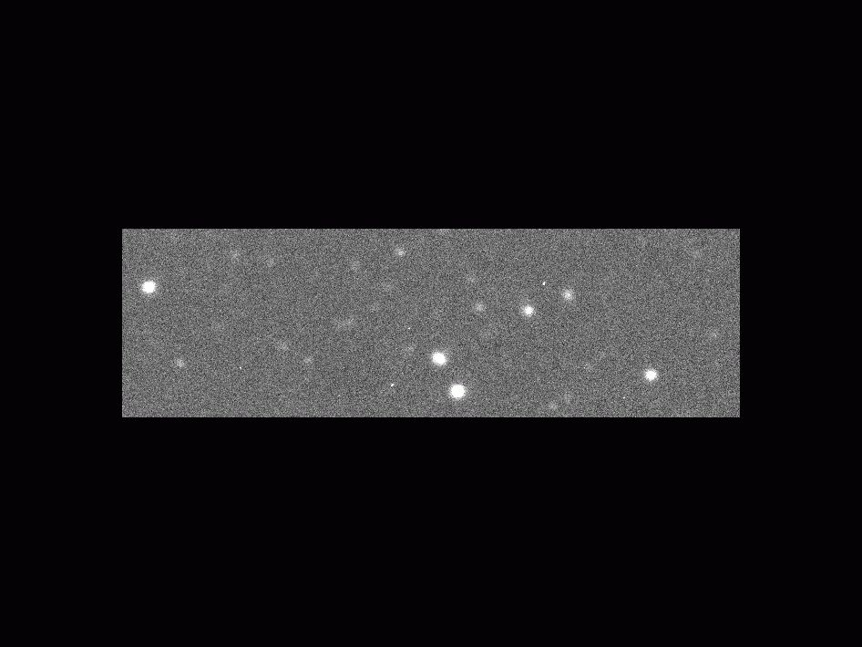 Asteroid 2012 DA14 spotted by Faulkes Telescope South in Siding Springs, Australia