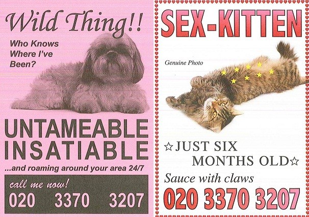The postcards have been designed by the Mayhew Animal Home The postcards have been designed by the Mayhew Animal Home