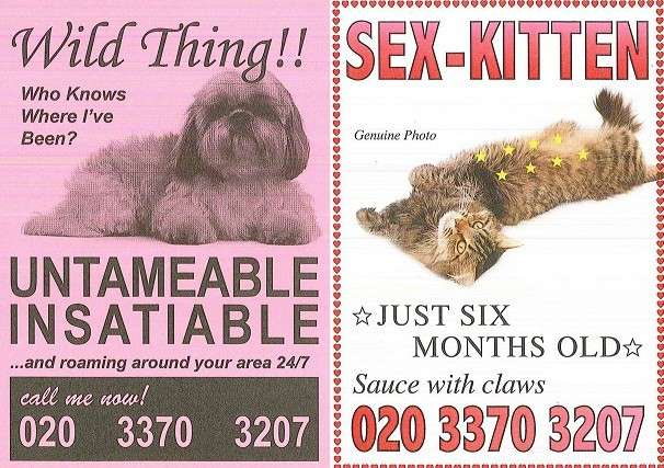 The postcards have been designed by the Mayhew Animal Home