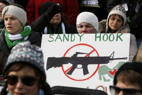 Gun-Control Protester