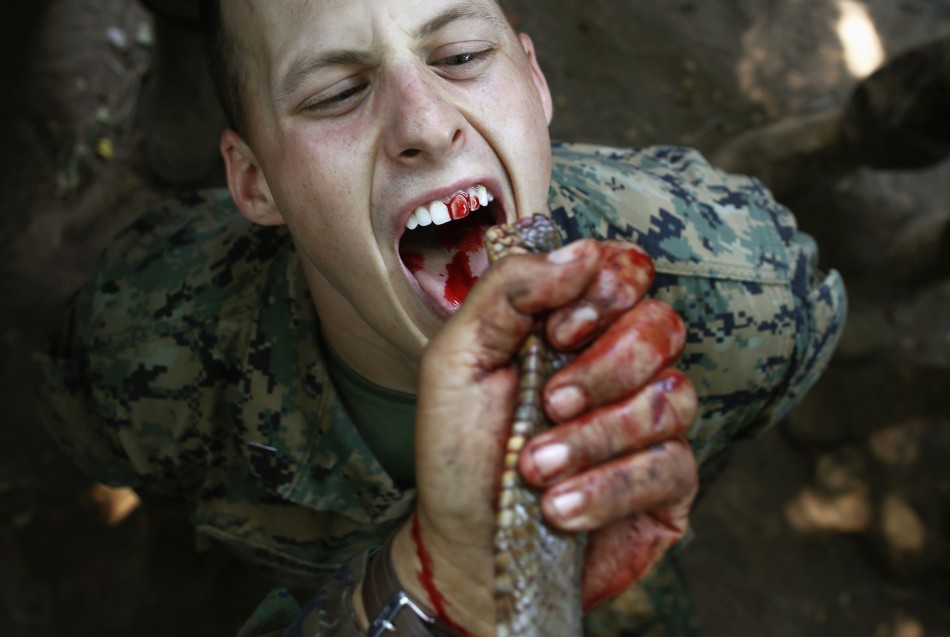 US Marines Drink Blood of Cobra