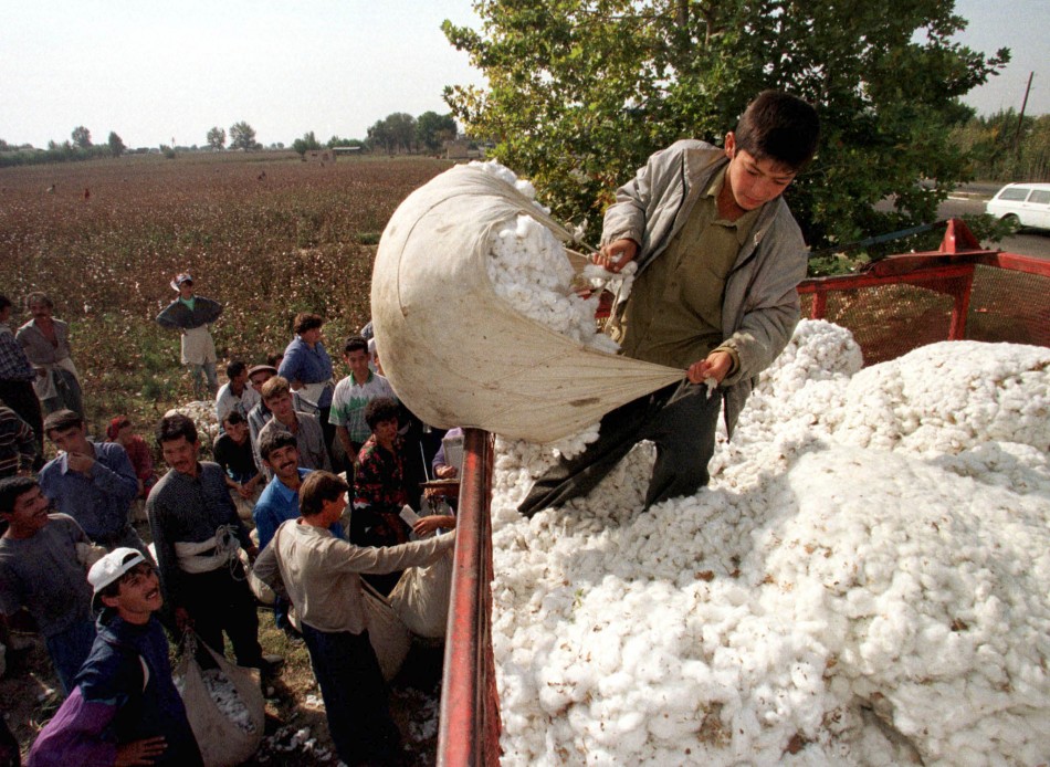 Cotton picking online bag