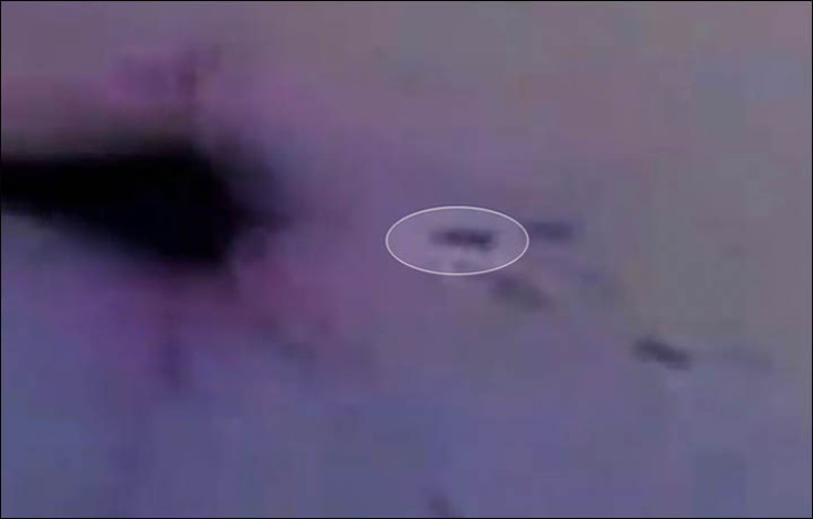UFO (circled) near meteor`