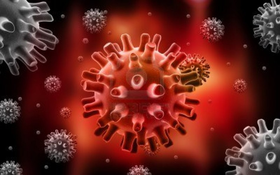 The herpes simplex virus, or The herpes simplex virus, or