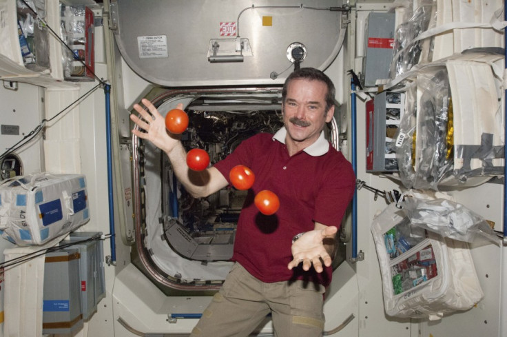 Chris Hadfield at work on the International Space Station