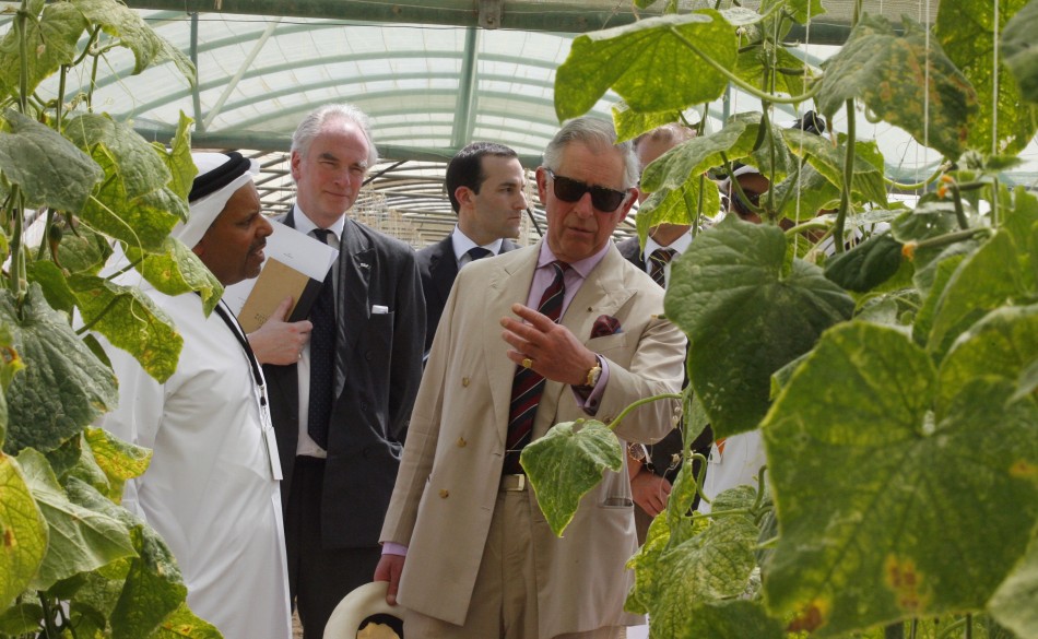 Prince Charles and Camilla Continue Visit to The Middle East