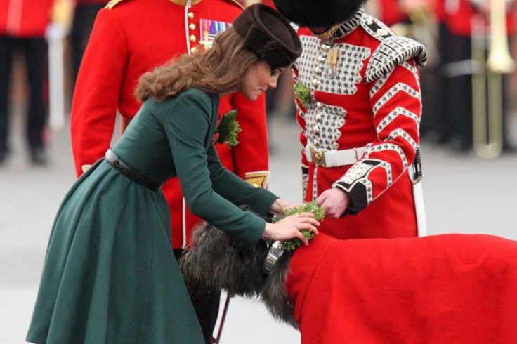 Kate present the Irish guard's mascot Domhnall with a shamrock at last year's event