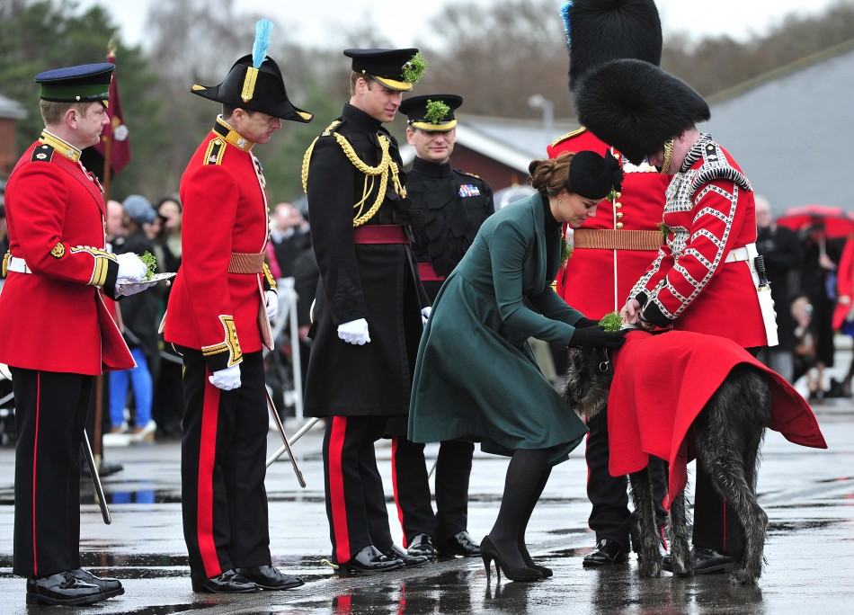 Britains Catherine, Duchess of Cambridge presents shamrock to the mascot of the 1st Battalion Irish Guards, an Irish wolfhound called Domhnall, as she attends a St Patricks Day Parade at Mons Barracks in Aldershot, southern England March 17, 2