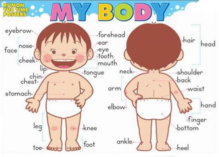Child body image