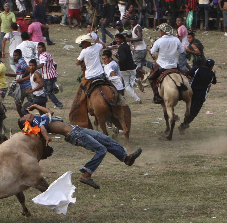 Bullfight