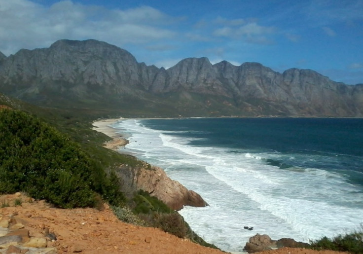 South Africa Whale Coast