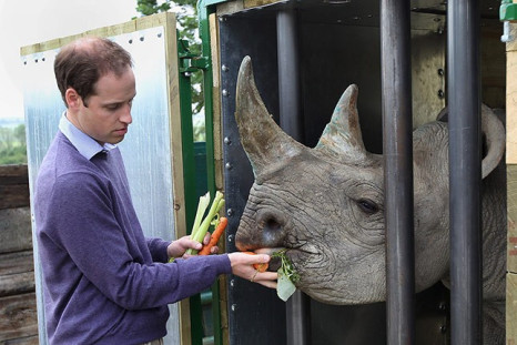 Prince William visits Port Lympne