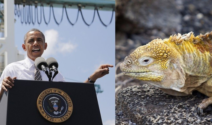 Obama Lizard