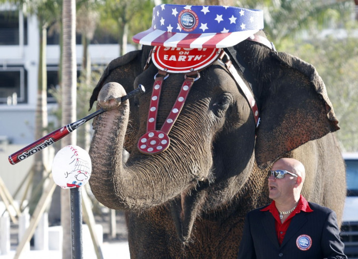 Ringling Bros and Barnum