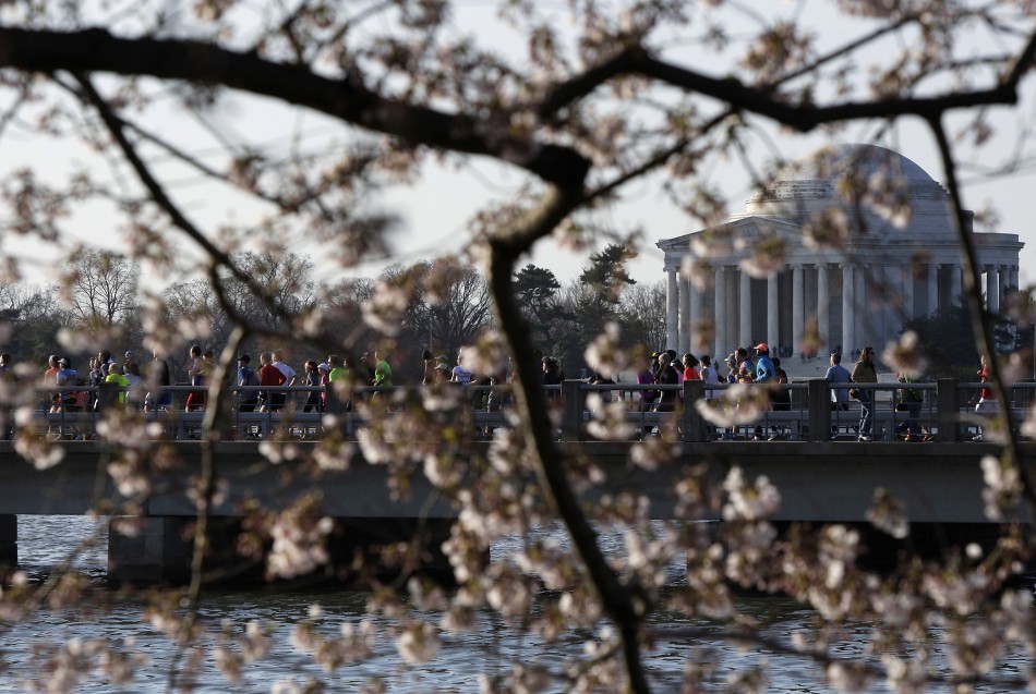 Runners cross a bridge near the Thomas Jefferson Memorial during the annual Cherry Blossom Ten Mile Run at the Tidal Basin in Washington, April 7, 2013. Washingtons celebrated cherry trees, which have been slow to bloom in 2013 due to a colder-than-