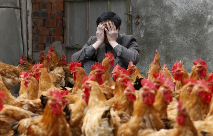 Nightmare vision: Spectre of deadly bird flu returns in China