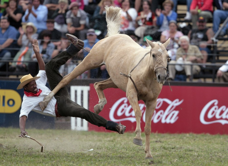 The equine’s revenge: A gaucho is unseated by an unbroken horse during the annual celebration of Criolla Week in Montevideo.
