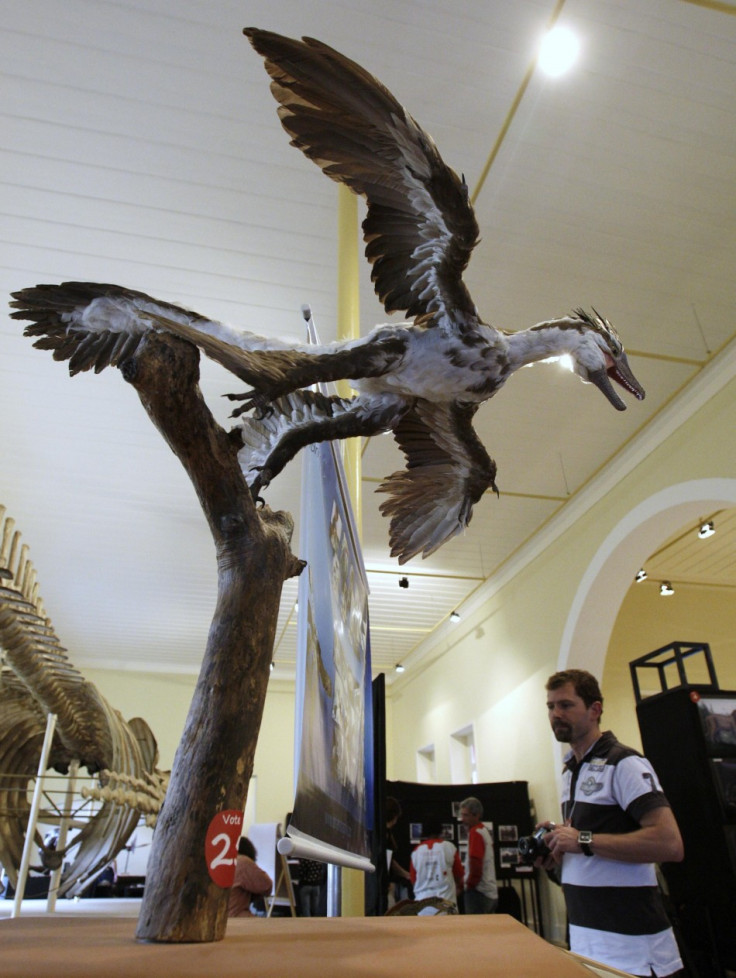 Microraptor