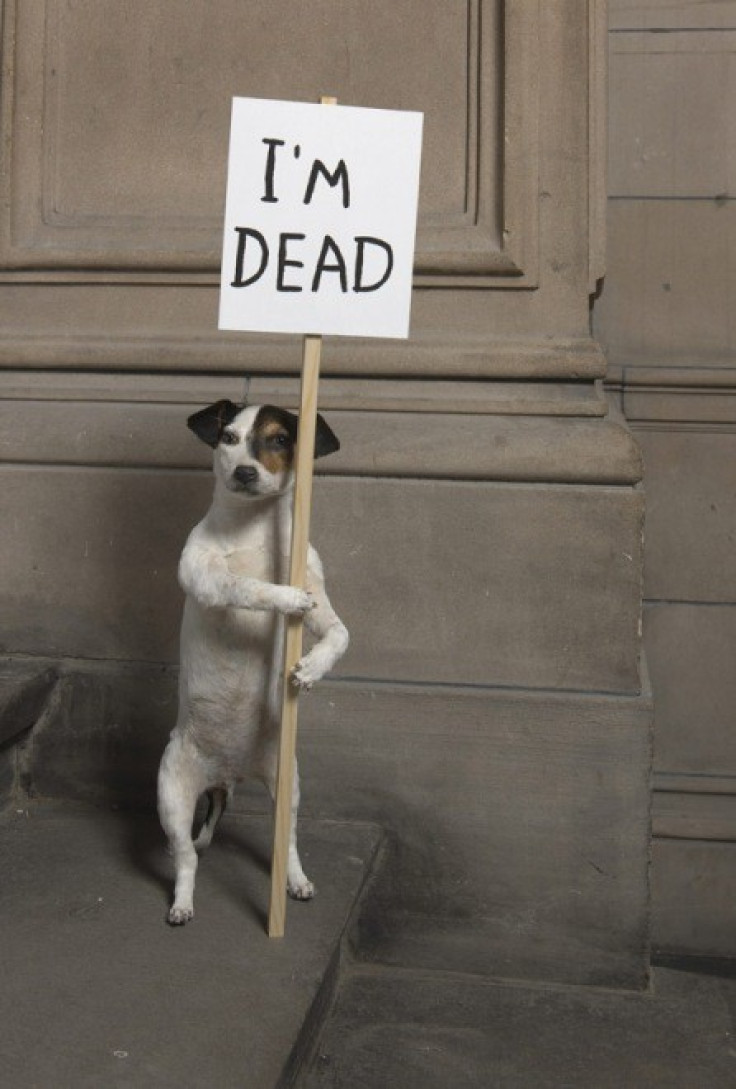 David Shrigley  "I'm Dead (2010)"